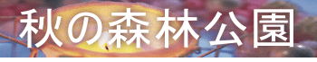 秋の森林公園